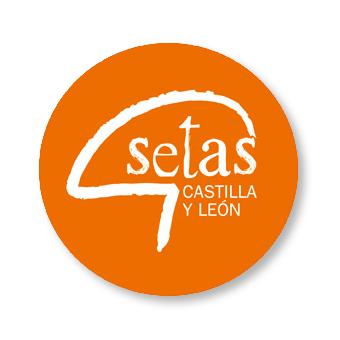 Setas de Castilla y Len