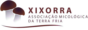 Xixorra