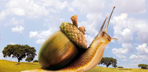 Ecocultura 2019 Zamora Ecocultura 2019 Zamora